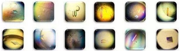 ladbrokes立博-英国公司官网