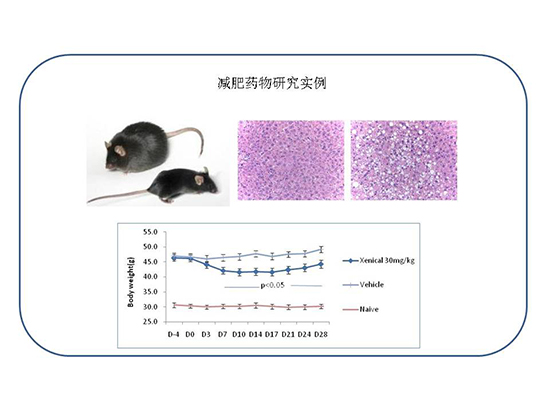 ladbrokes立博-英国公司官网