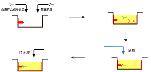 ladbrokes立博-英国公司官网