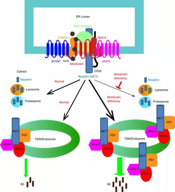 ladbrokes立博-英国公司官网