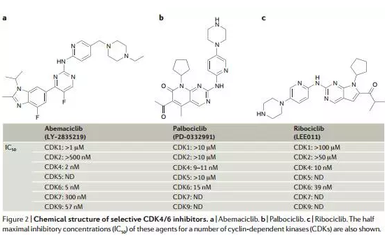 ladbrokes立博-英国公司官网