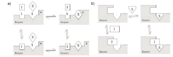 ladbrokes立博-英国公司官网
