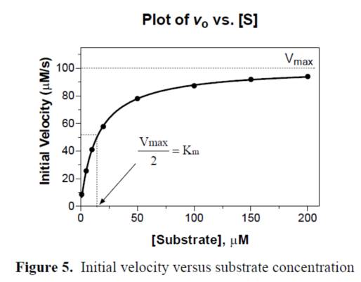 ladbrokes立博-英国公司官网