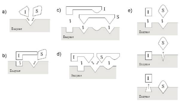 ladbrokes立博-英国公司官网