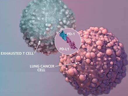 ladbrokes立博-英国公司官网