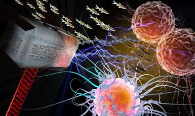 ladbrokes立博-英国公司官网