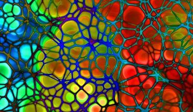 ladbrokes立博-英国公司官网