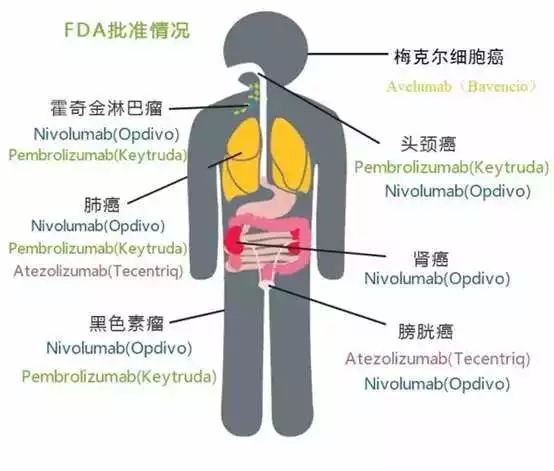 ladbrokes立博-英国公司官网