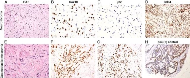 ladbrokes立博-英国公司官网