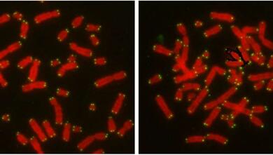 ladbrokes立博-英国公司官网