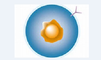 ladbrokes立博-英国公司官网