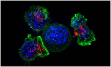 ladbrokes立博-英国公司官网