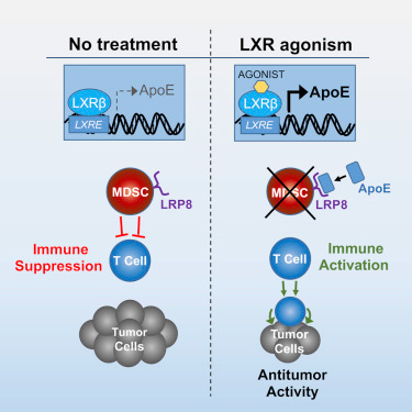 ladbrokes立博-英国公司官网