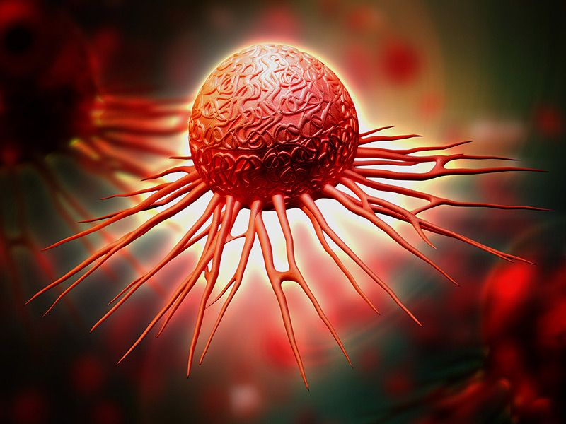 ladbrokes立博-英国公司官网