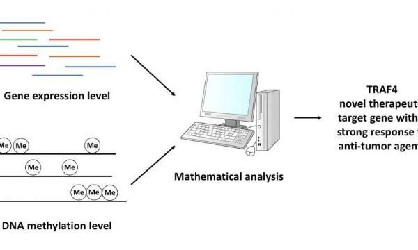 ladbrokes立博-英国公司官网