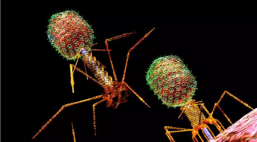 ladbrokes立博-英国公司官网