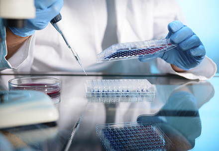 289目录海内特有品种一致性评价抱团才有戏？？？