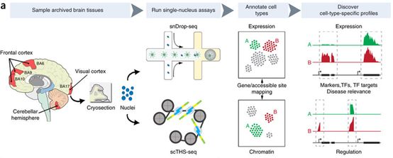 ladbrokes立博-英国公司官网
