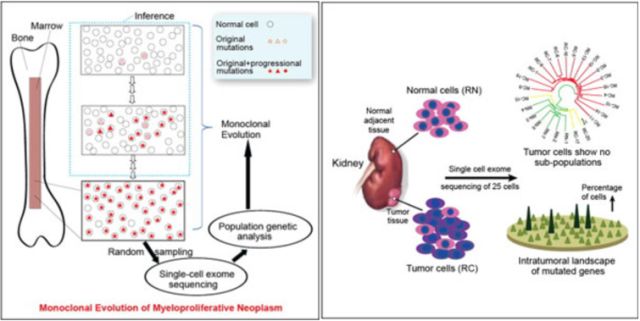 ladbrokes立博-英国公司官网