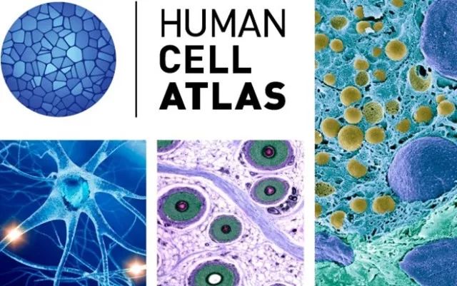 ladbrokes立博-英国公司官网