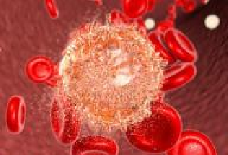 ladbrokes立博-英国公司官网