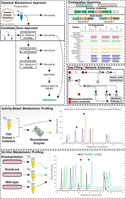 ladbrokes立博-英国公司官网