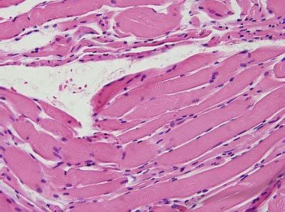 ladbrokes立博-英国公司官网