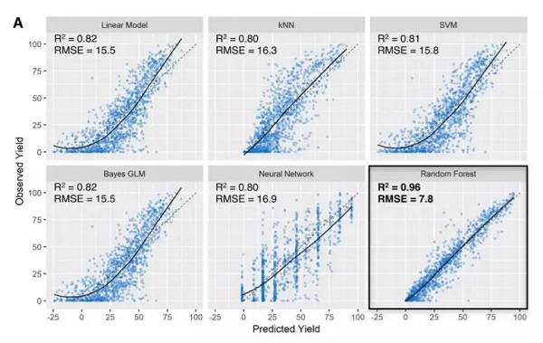 ladbrokes立博-英国公司官网