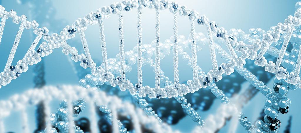 浅谈Ladbrokes立博抗体药物PK剖析要领学设计的思量要点