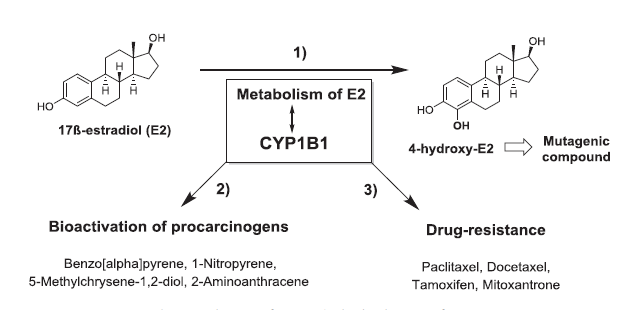 ladbrokes立博-英国公司官网