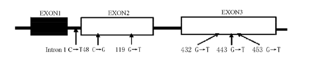 ladbrokes立博-英国公司官网