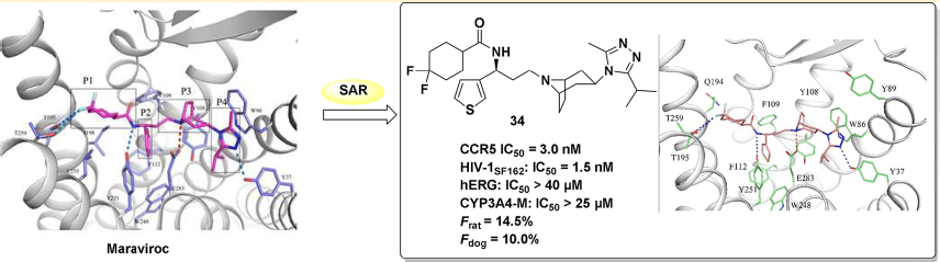 ladbrokes立博-英国公司官网