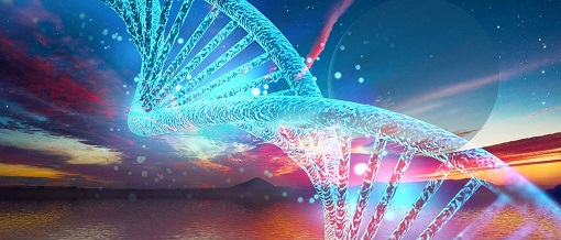 ladbrokes立博-英国公司官网