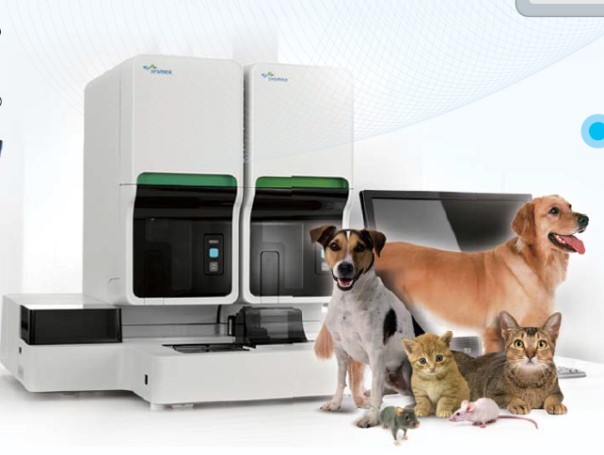 ladbrokes立博-英国公司官网