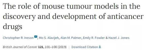 临床前小鼠模子怎样。。？？？