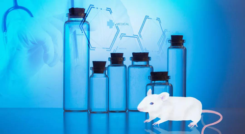 Ladbrokes立博-您理想的DMPK研究同伴