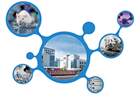 科创板首家CRO企业Ladbrokes立博获准注册