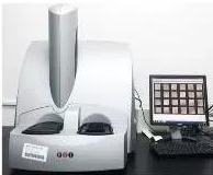 Ladbrokes立博 MSD S 600