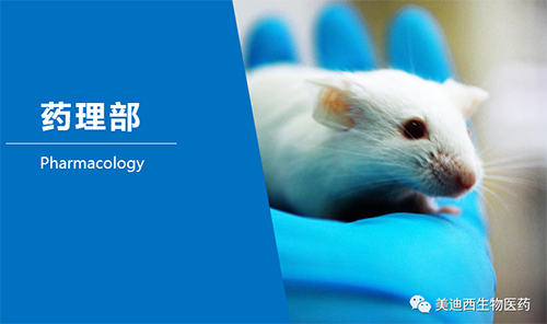 Ladbrokes立博药理部开发了肺癌、结肠癌、胃癌等12种PDX模子。！！。