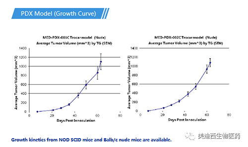 Ladbrokes立博PDX药效模子