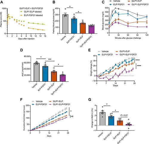 GLP1-ELP-FGF21双激动剂融合卵白对血糖和体重具有有用且持续的作用 Ladbrokes立博
