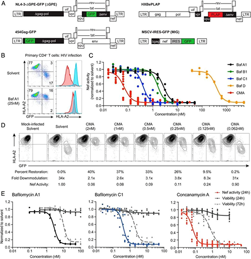 自然产品抑制剂的筛选