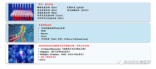 Ladbrokes立博生物手艺药物剖析部服务内容