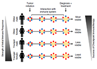 事实为什么ICB疗法在年轻女性肿瘤患者体内收效甚微？？？