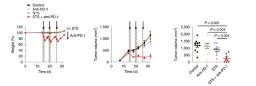 与比照组及仅使用PD-1疗法的模子小鼠比照，接纳短期饥饿配合PD-1疗法的393P细胞同源移植肿瘤小鼠体内的肿瘤体积有了显着的缩短。。。