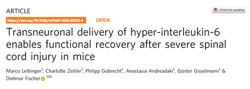 Nature：还瘫痪患者一个自由身的日子不远了