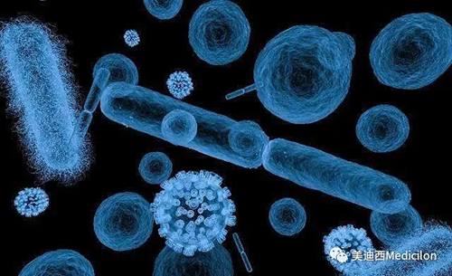 20分钟，，大大都细菌都可以繁衍一代 Ladbrokes立博生物医药