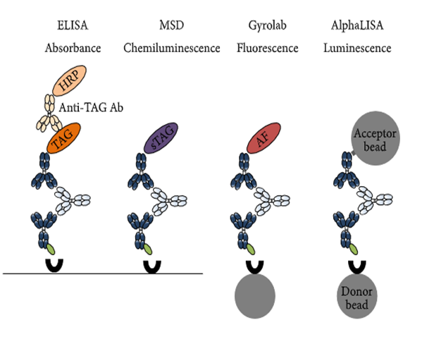 Ladbrokes立博免疫原性研究四大平台