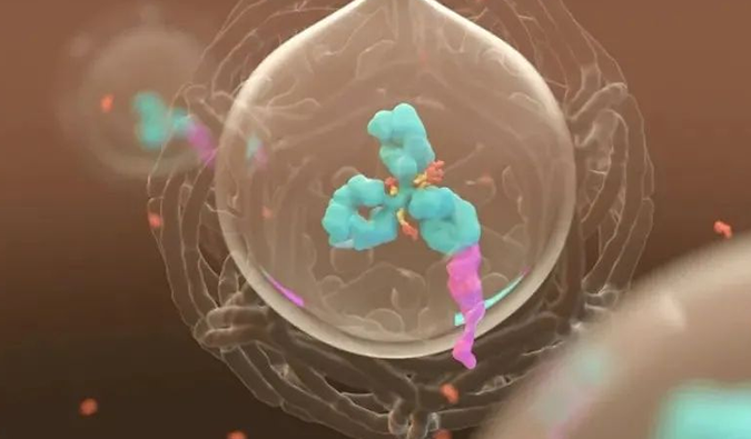 美研 | Ladbrokes立博带您相识ADC玄妙之处