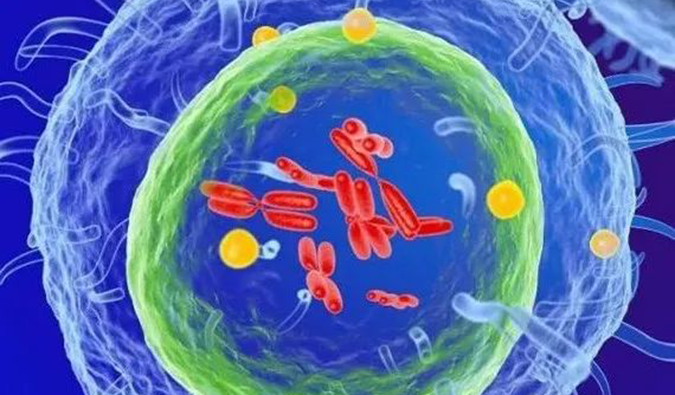  Ladbrokes立博助力 | 信诺维抗肿瘤1类新药XNW14010获批临床.png